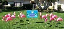 Pink plastic flamingo yard ornaments