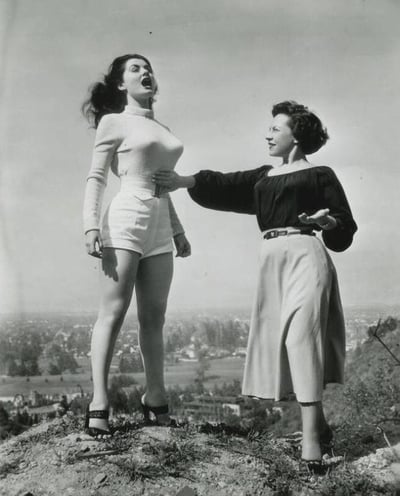 The Bullet Bra - A Trademark of Women's Clothing in the 50s Photo